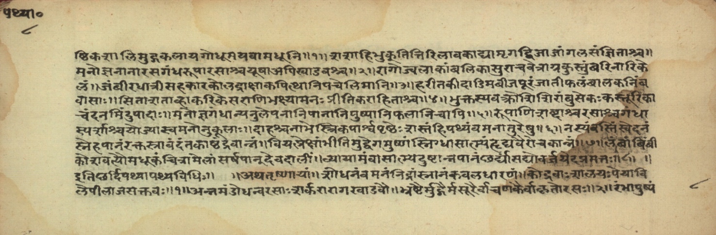 Pathyāpathyavidhi, page 17
