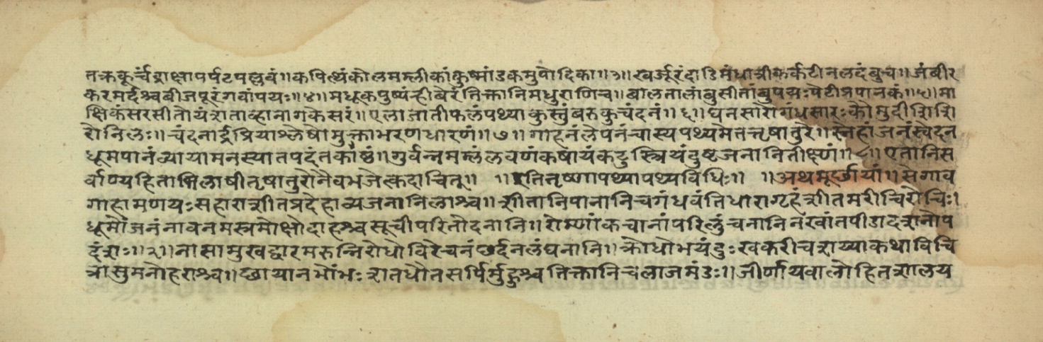 Pathyāpathyavidhi, page 18