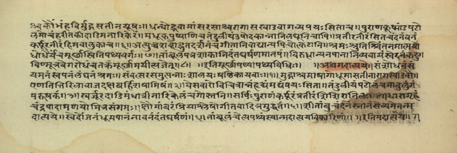 Pathyāpathyavidhi, page 19
