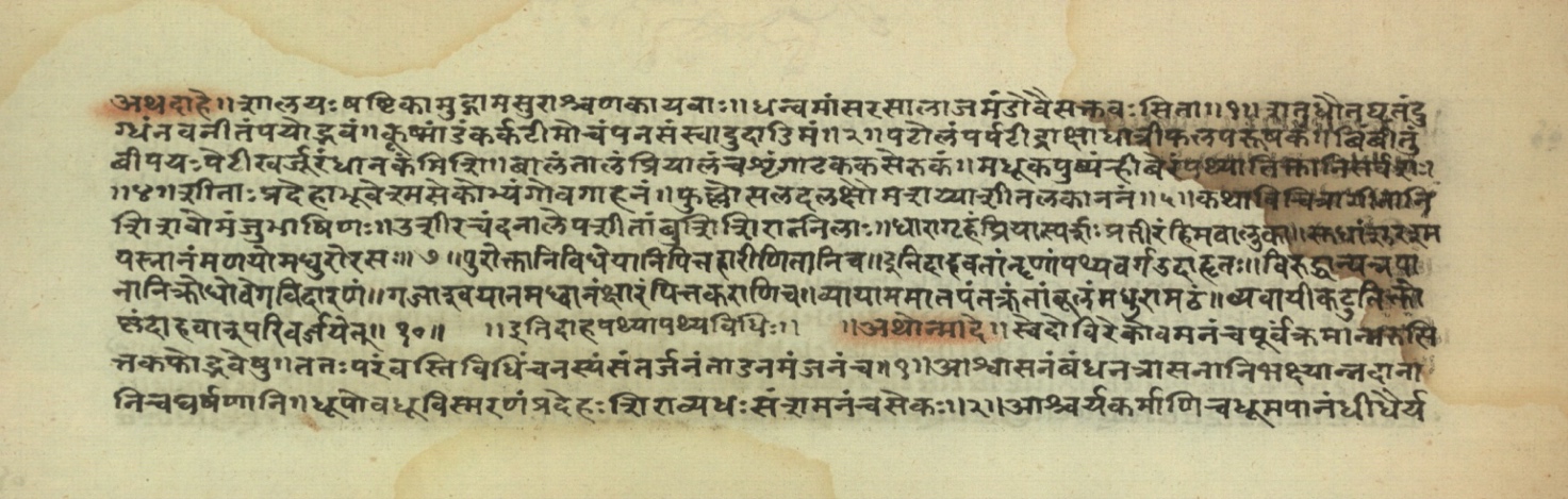 Pathyāpathyavidhi, page 20