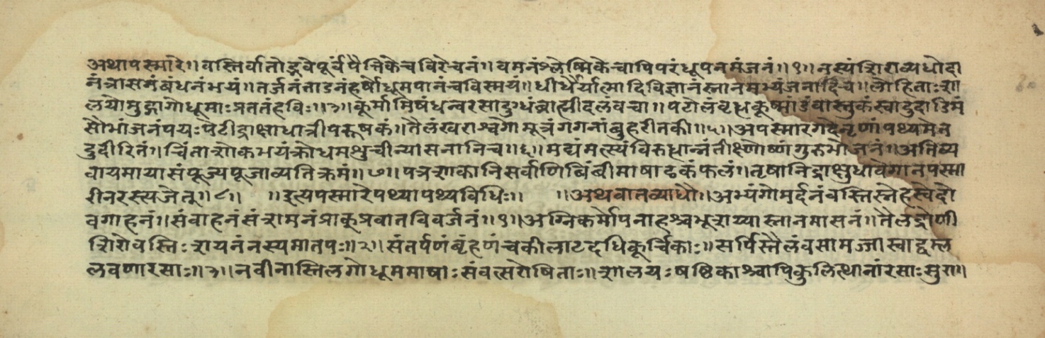 Pathyāpathyavidhi, page 22