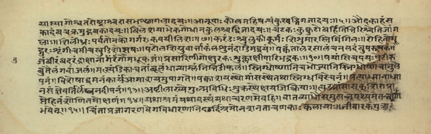 Pathyāpathyavidhi, page 23