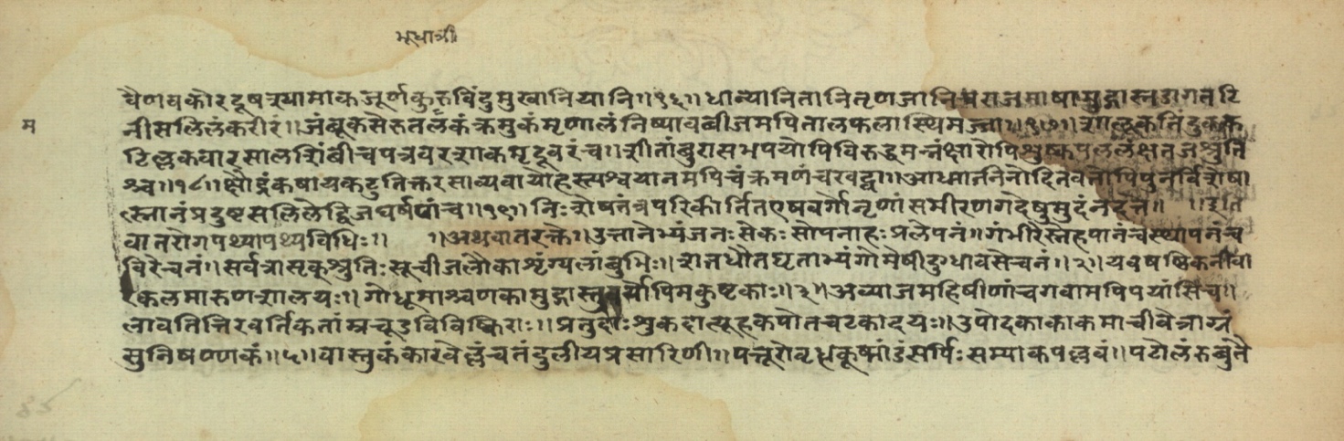 Pathyāpathyavidhi, page 24