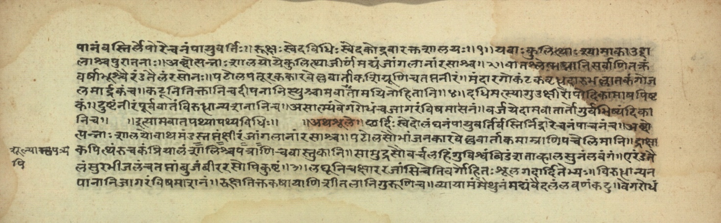 Pathyāpathyavidhi, page 26