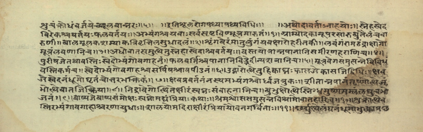Pathyāpathyavidhi, page 27