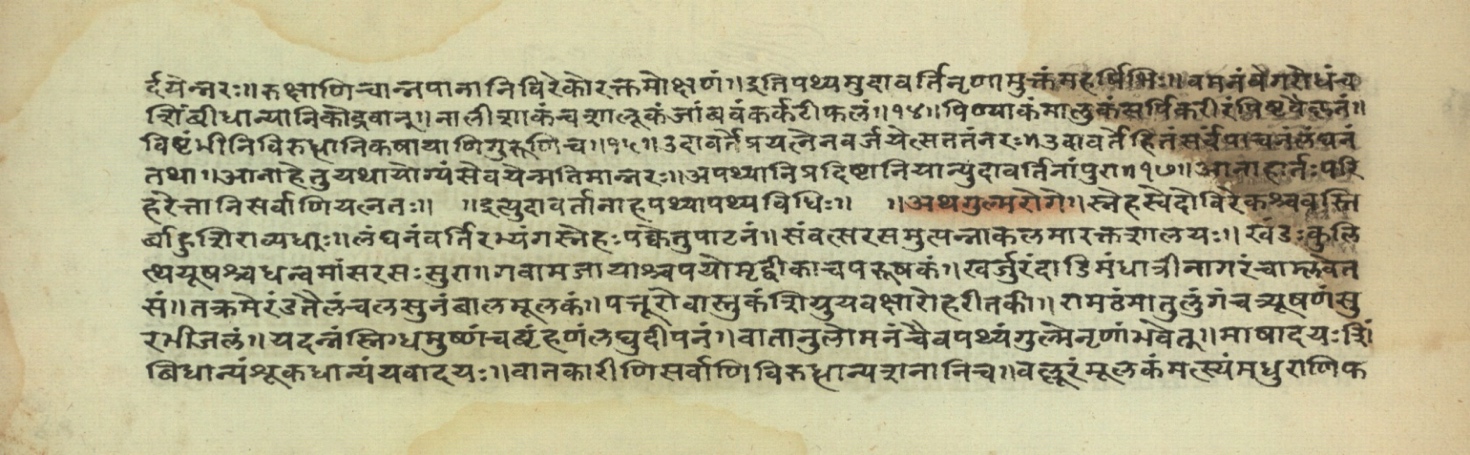 Pathyāpathyavidhi, page 28