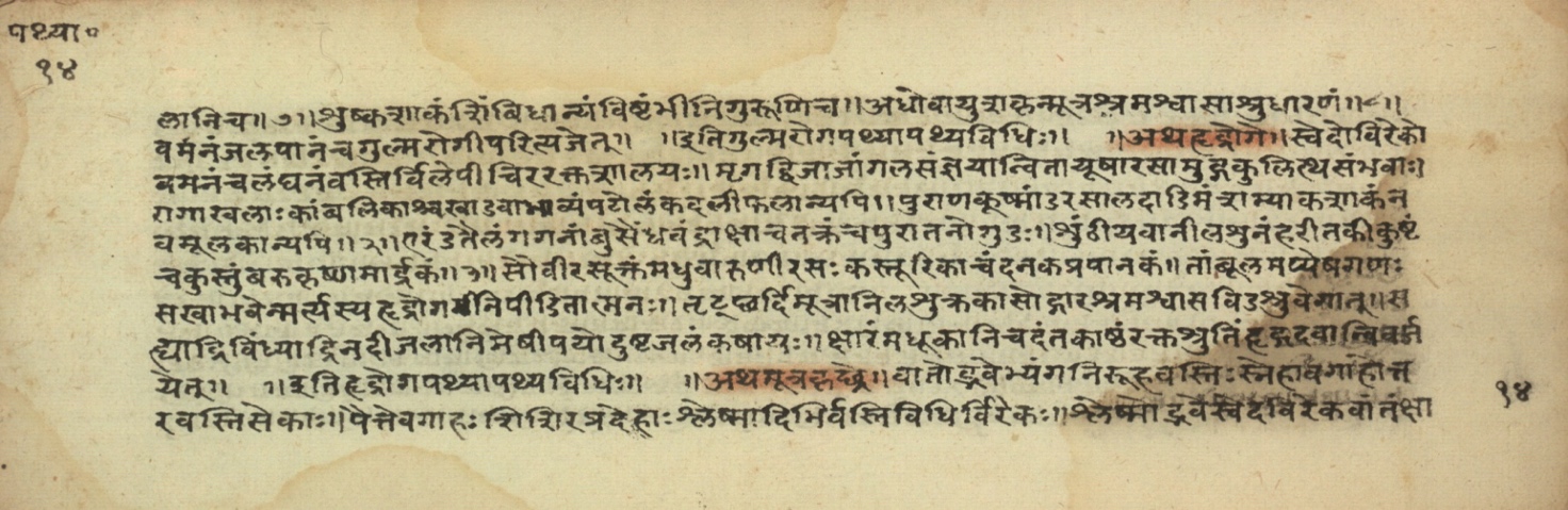 Pathyāpathyavidhi, page 29