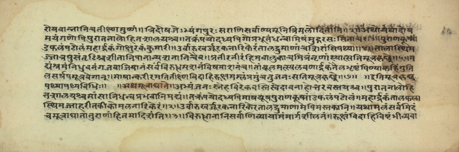 Pathyāpathyavidhi, page 30