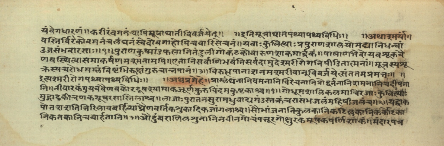 Pathyāpathyavidhi, page 31