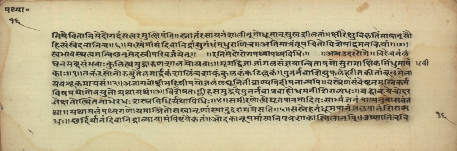 Pathyāpathyavidhi, page 33