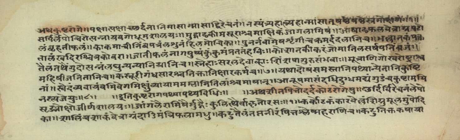 Pathyāpathyavidhi, page 40