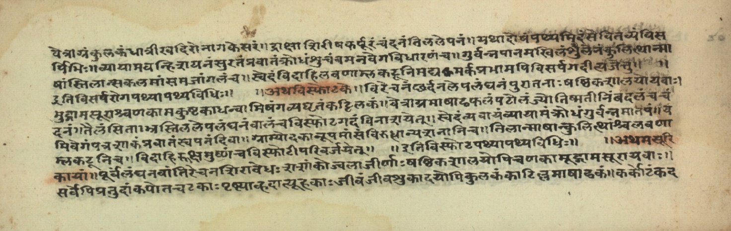 Pathyāpathyavidhi, page 41