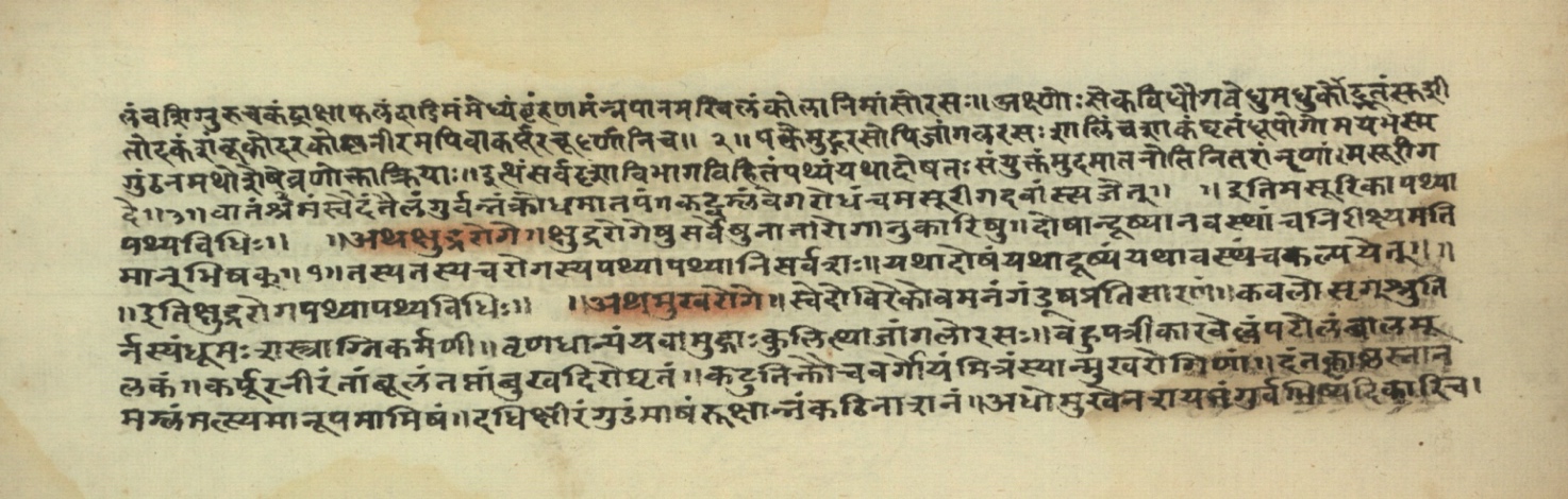 Pathyāpathyavidhi, page 42