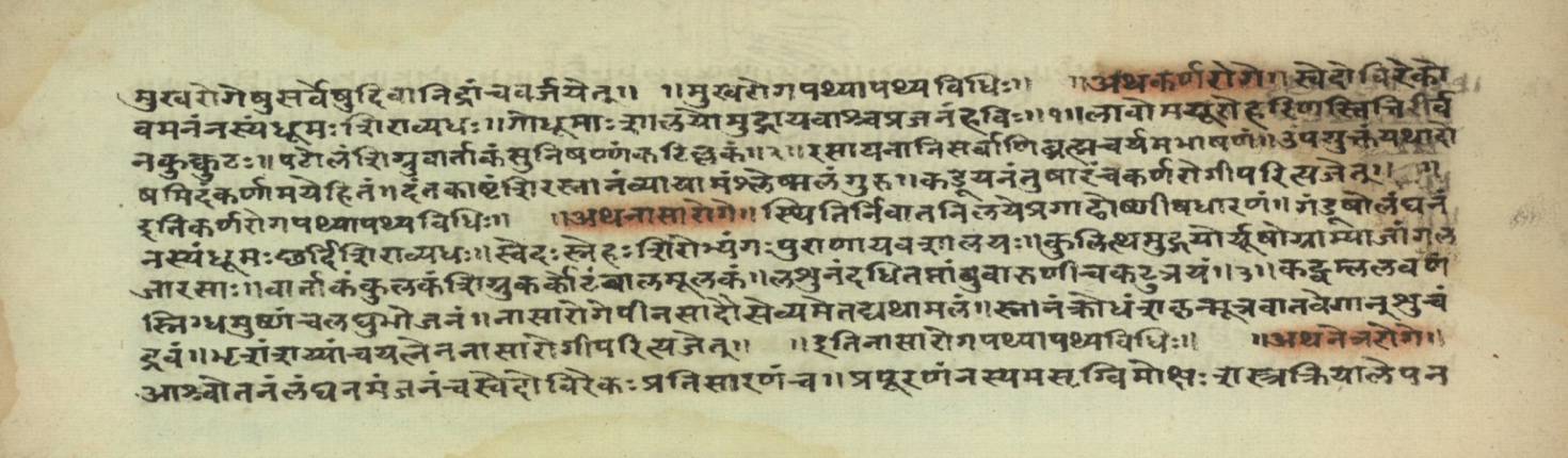 Pathyāpathyavidhi, page 43