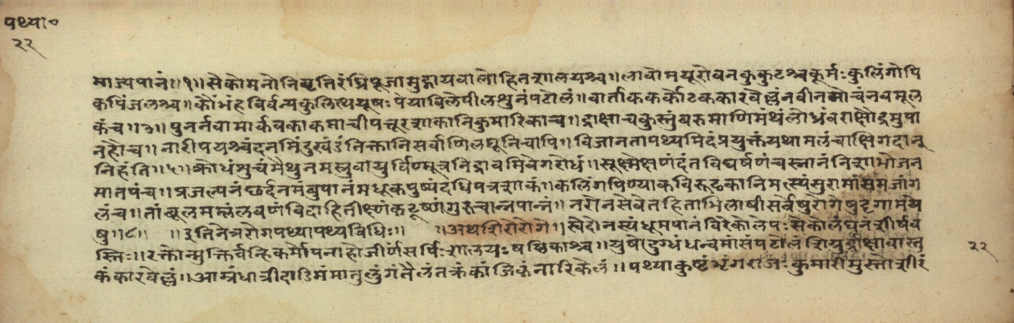 Pathyāpathyavidhi, page 44