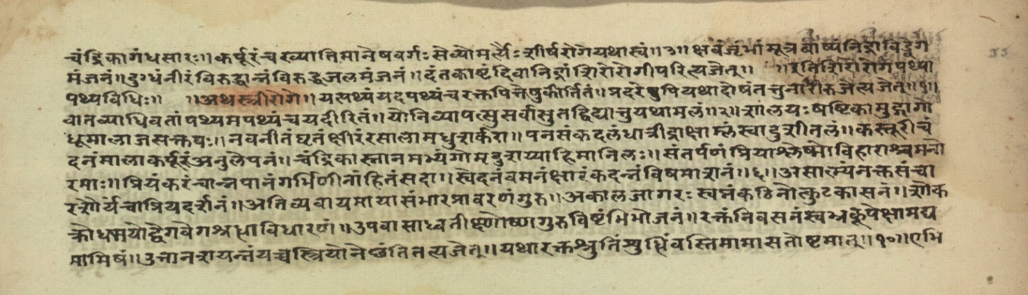 Pathyāpathyavidhi, page 45