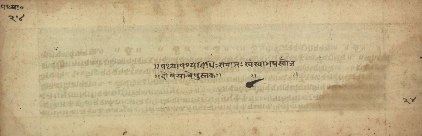Pathyāpathyavidhi, page 48