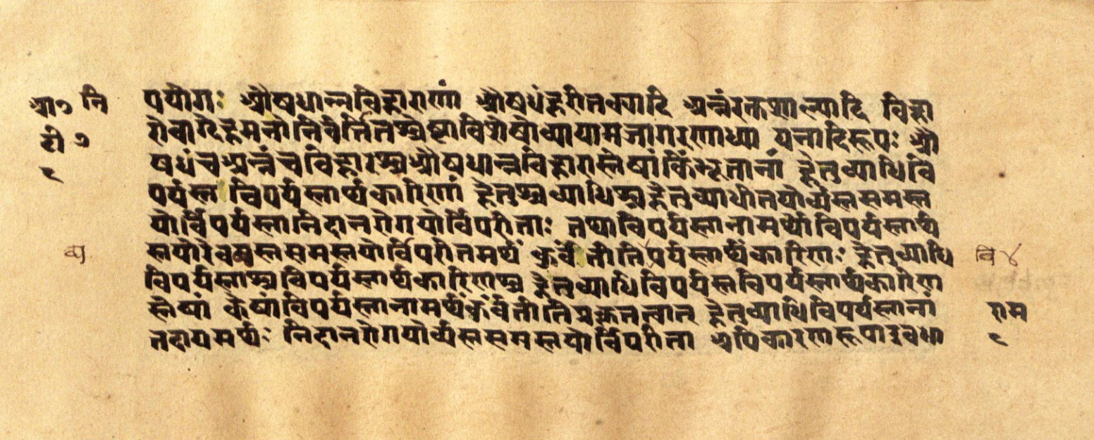 Mādhavanidāna 2, page 18