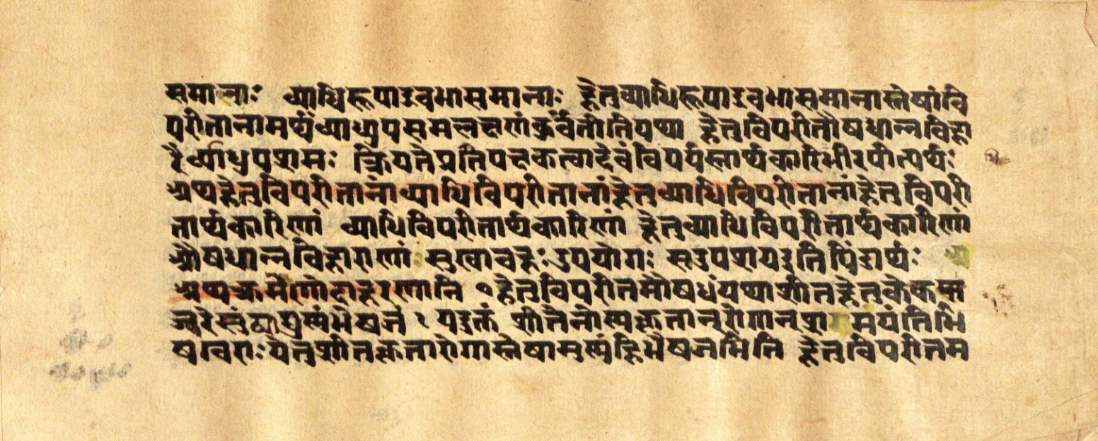 Mādhavanidāna 2, page 19