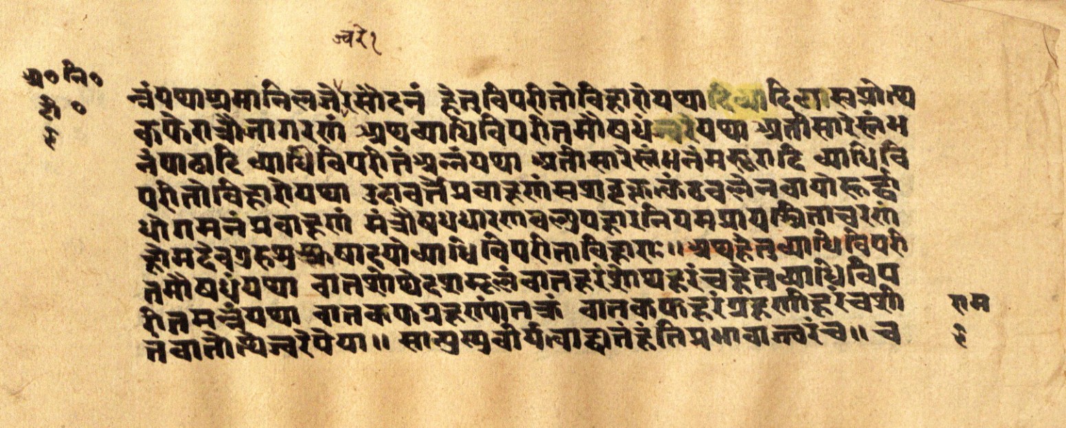 Mādhavanidāna 2, page 20