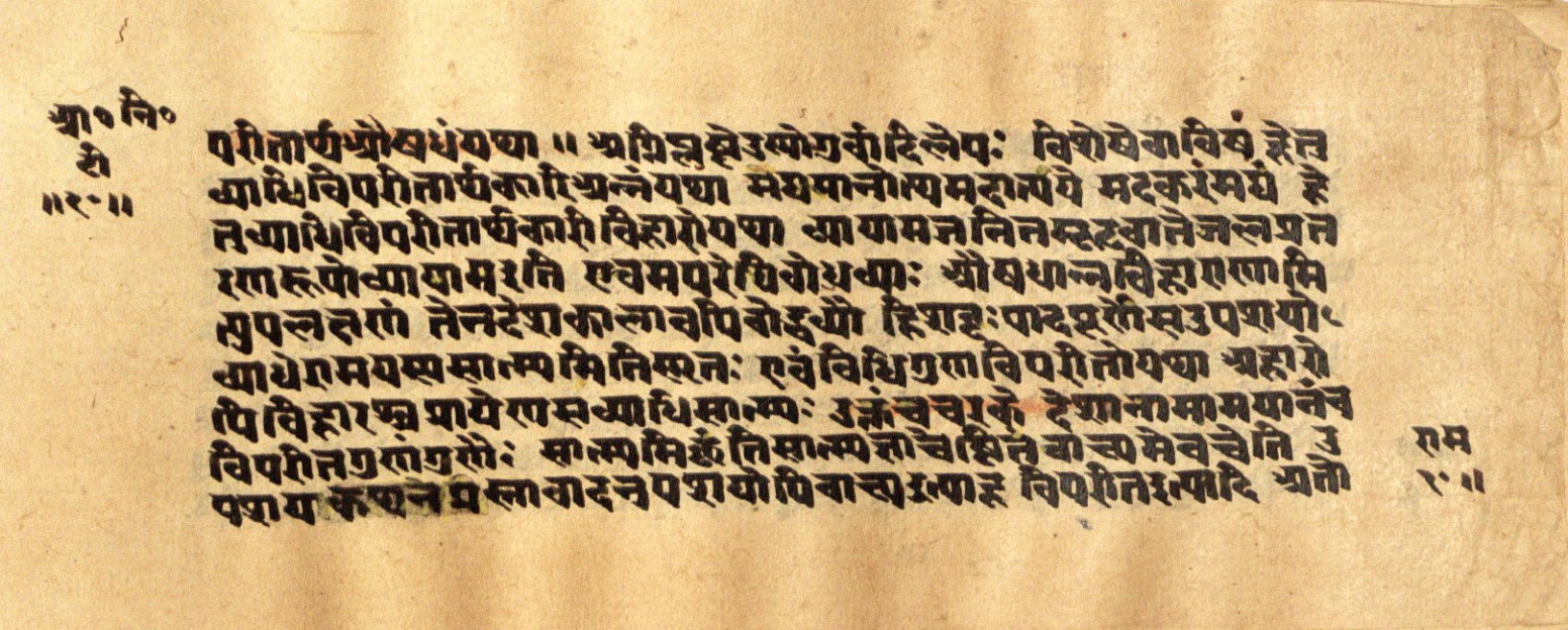 Mādhavanidāna 2, page 22
