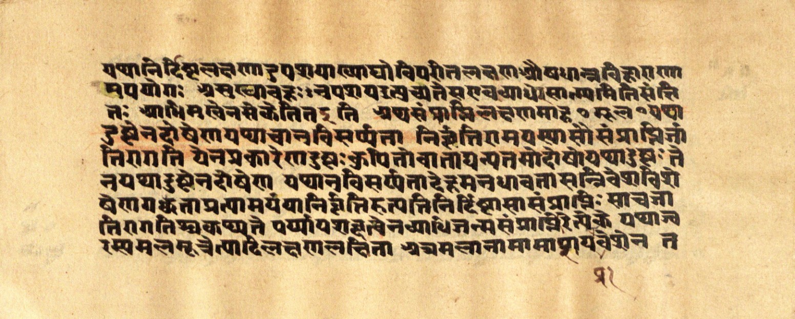 Mādhavanidāna 2, page 23