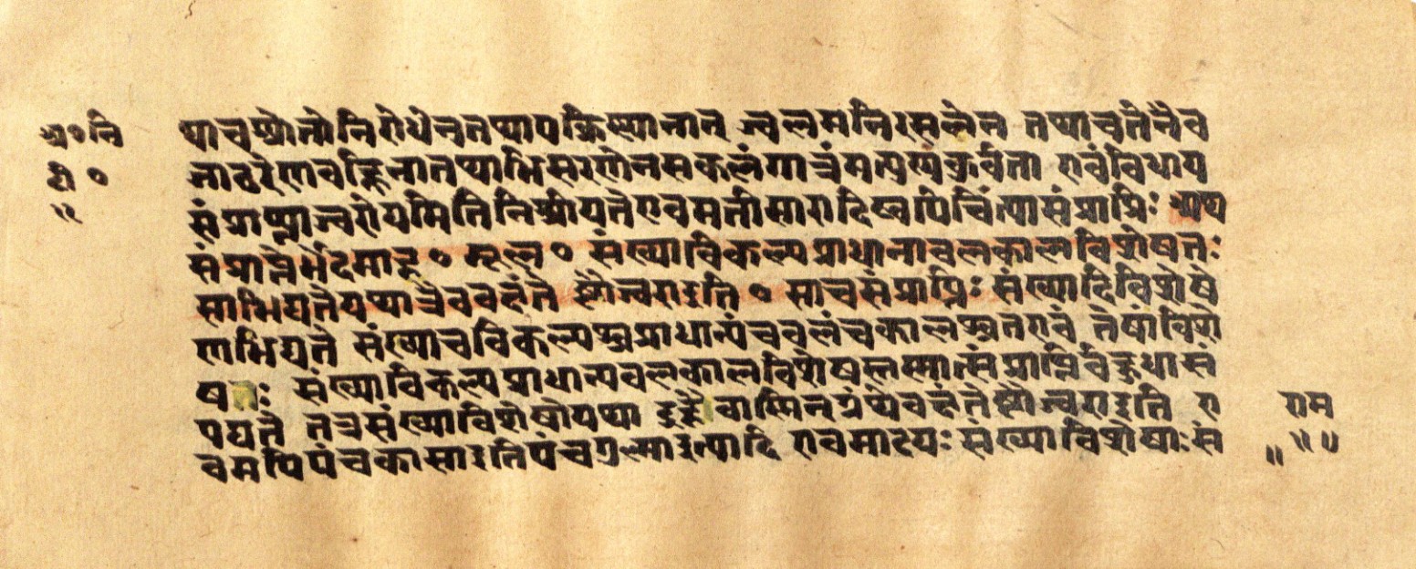 Mādhavanidāna 2, page 24