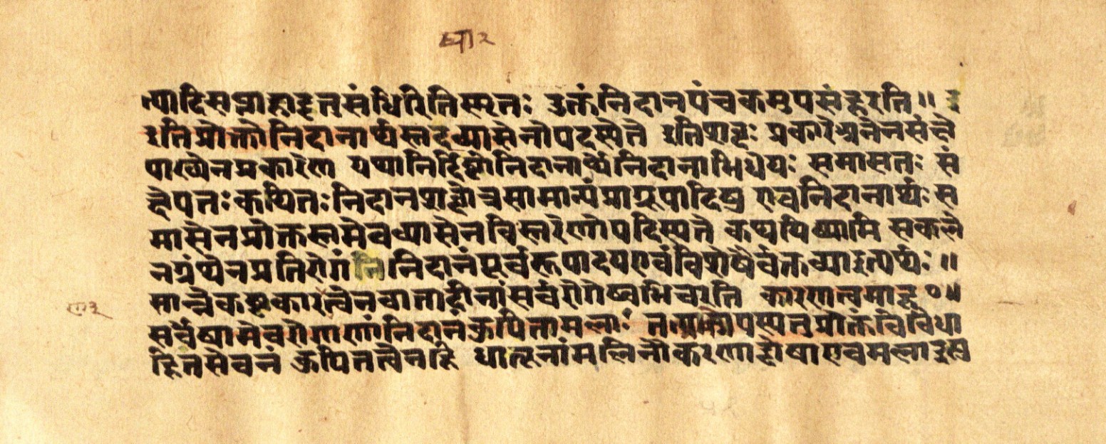 Mādhavanidāna 2, page 29
