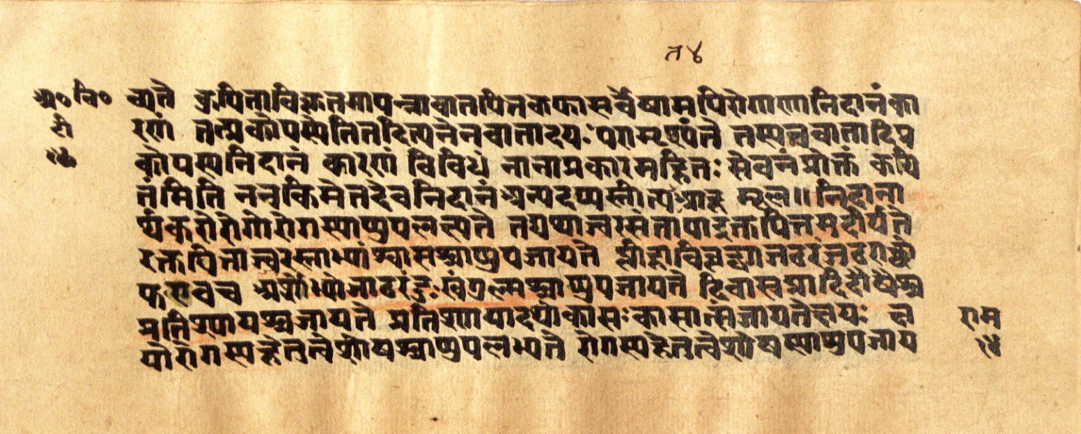 Mādhavanidāna 2, page 30