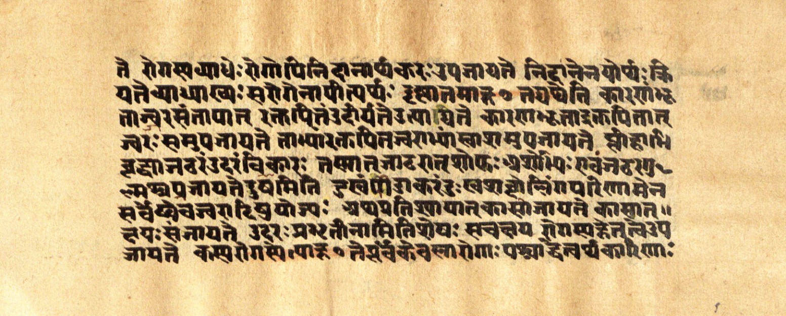Mādhavanidāna 2, page 31