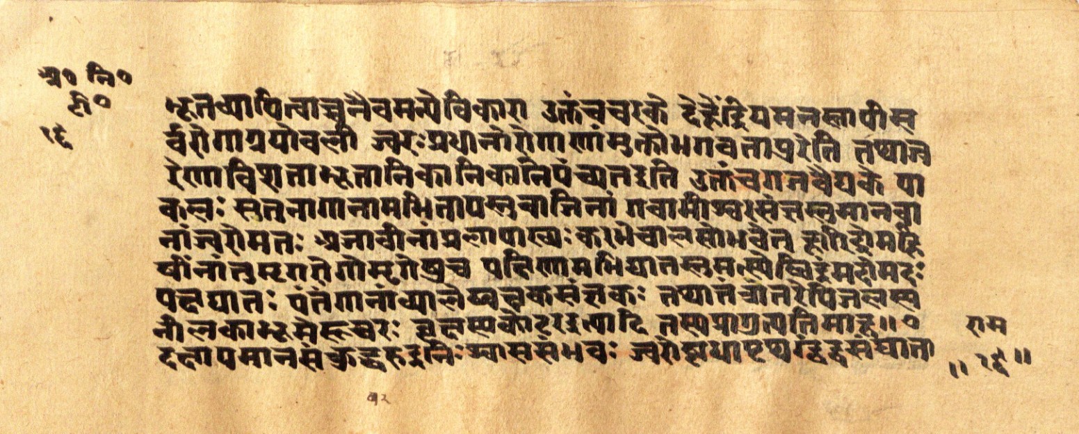 Mādhavanidāna 2, page 34