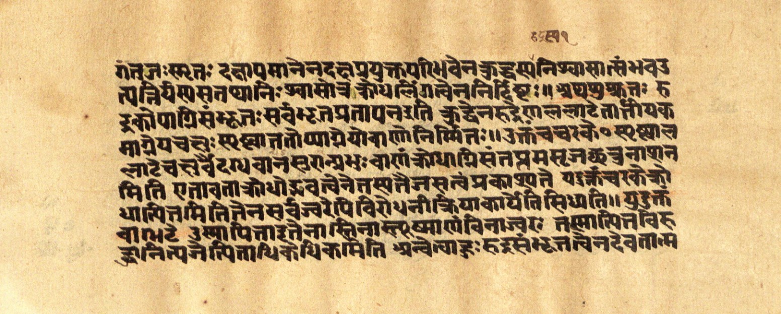 Mādhavanidāna 2, page 35