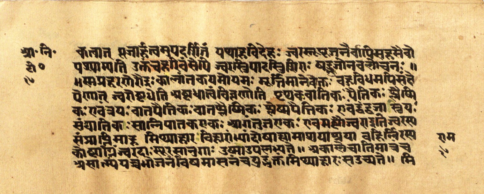 Mādhavanidāna 2, page 36