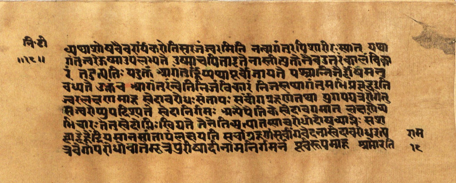 Mādhavanidāna 2, page 38
