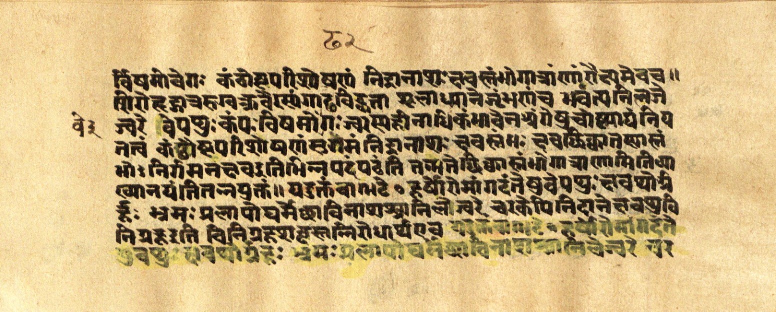 Mādhavanidāna 2, page 41