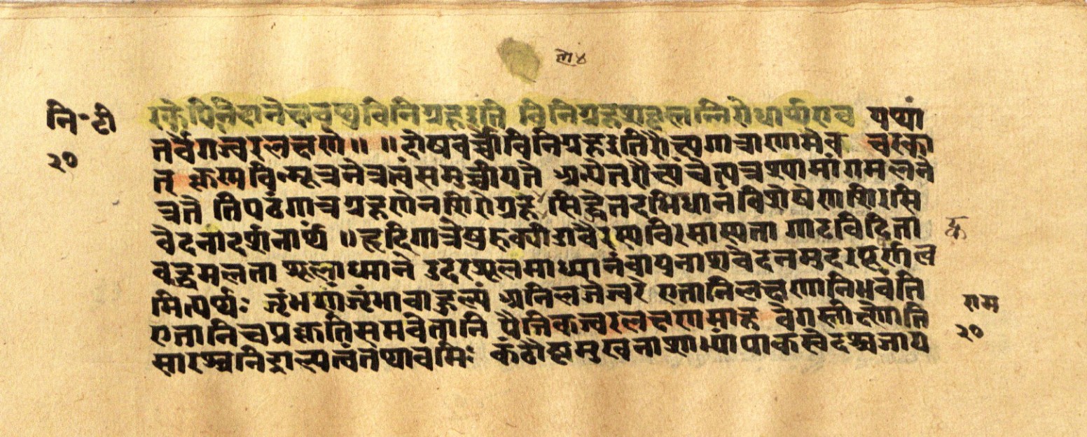 Mādhavanidāna 2, page 42