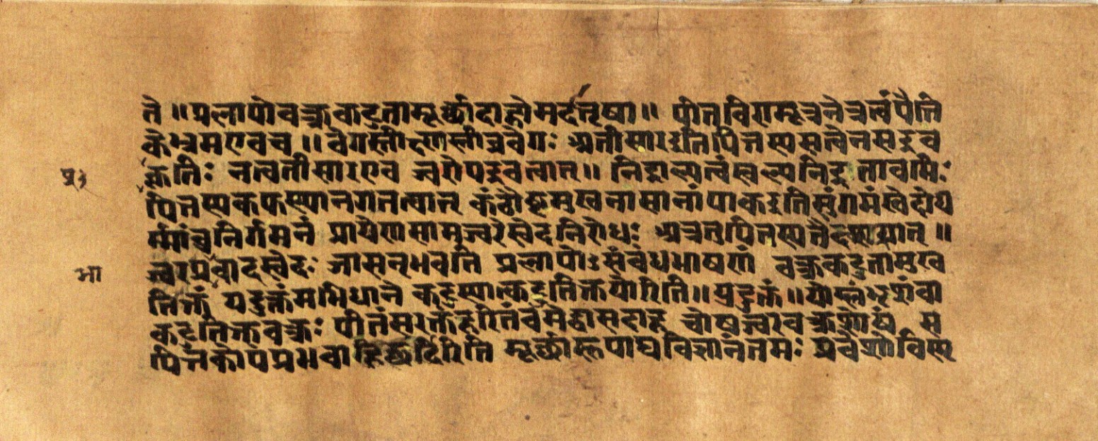 Mādhavanidāna 2, page 43