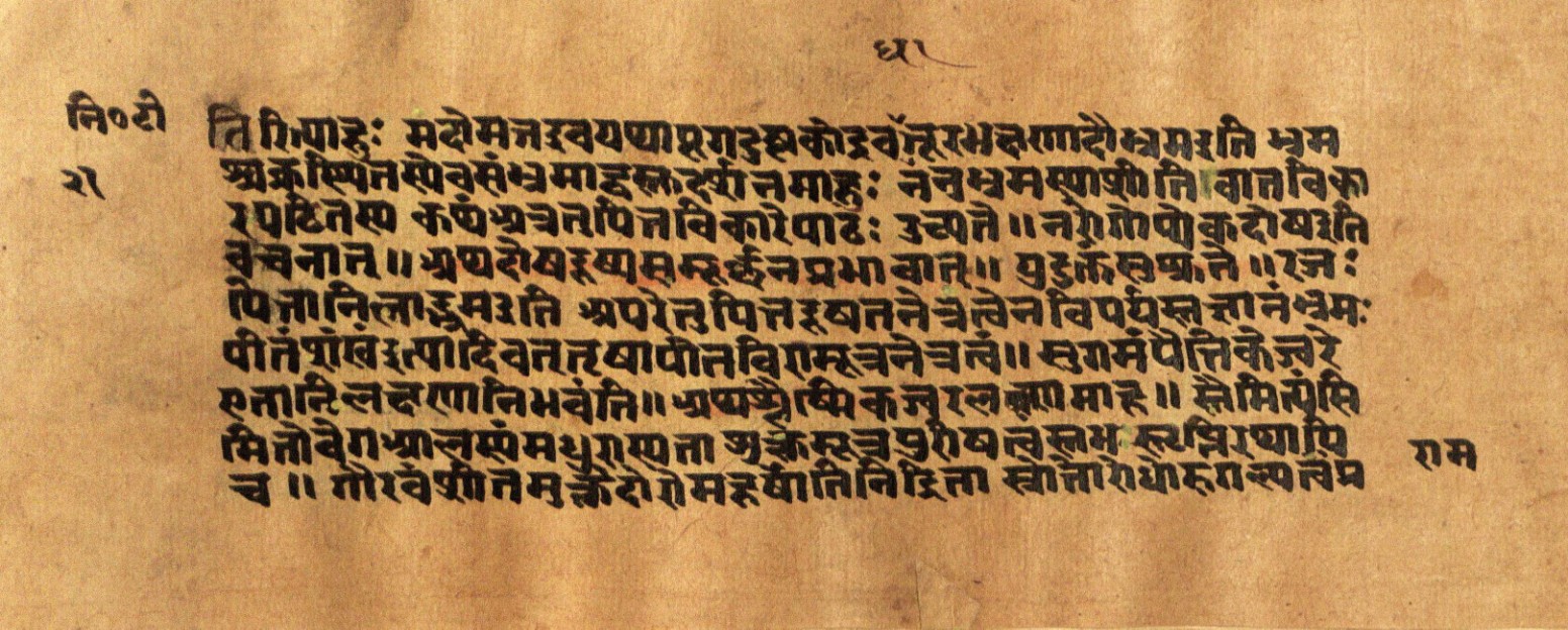 Mādhavanidāna 2, page 44