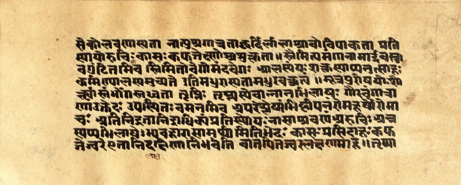 Mādhavanidāna 2, page 45