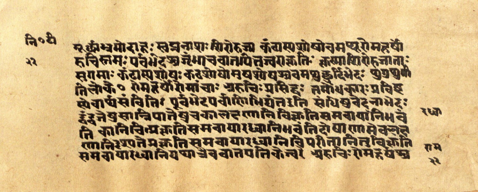 Mādhavanidāna 2, page 46