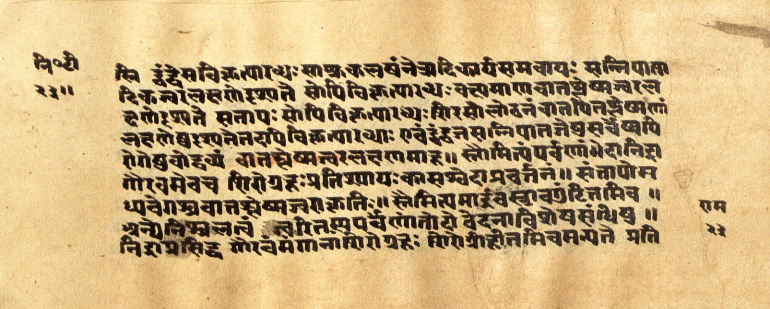 Mādhavanidāna 2, page 48