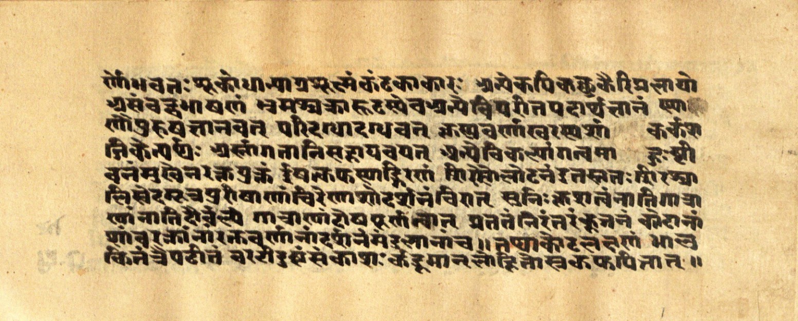 Mādhavanidāna 2, page 51