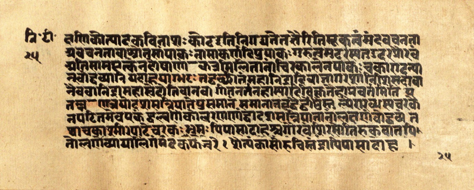 Mādhavanidāna 2, page 52