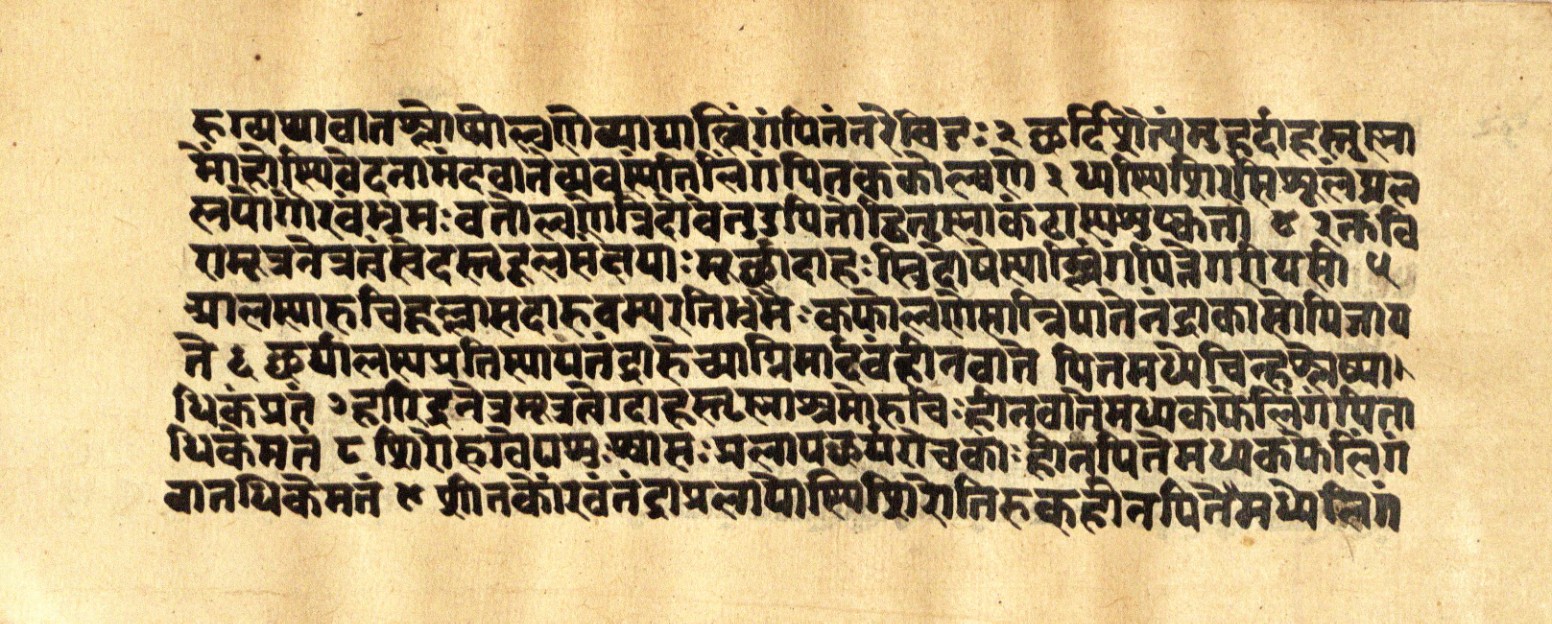 Mādhavanidāna 2, page 53