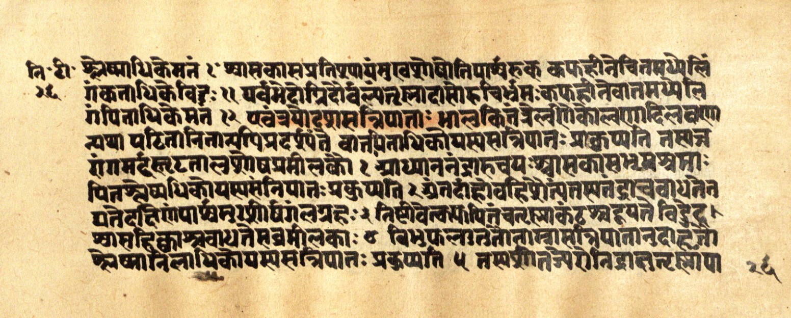 Mādhavanidāna 2, page 54