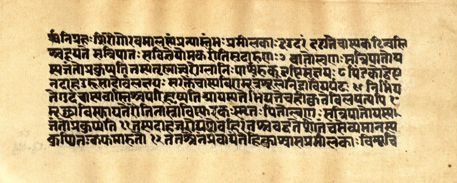 Mādhavanidāna 2, page 55
