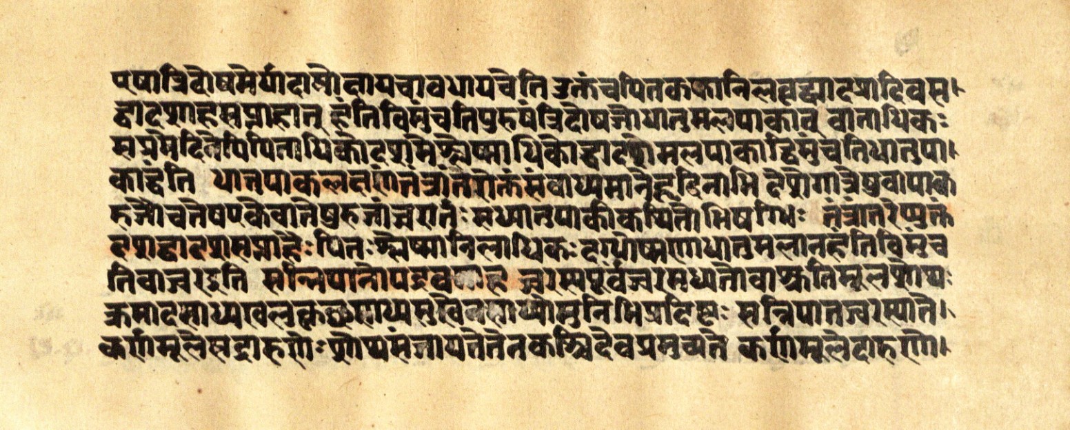 Mādhavanidāna 2, page 59