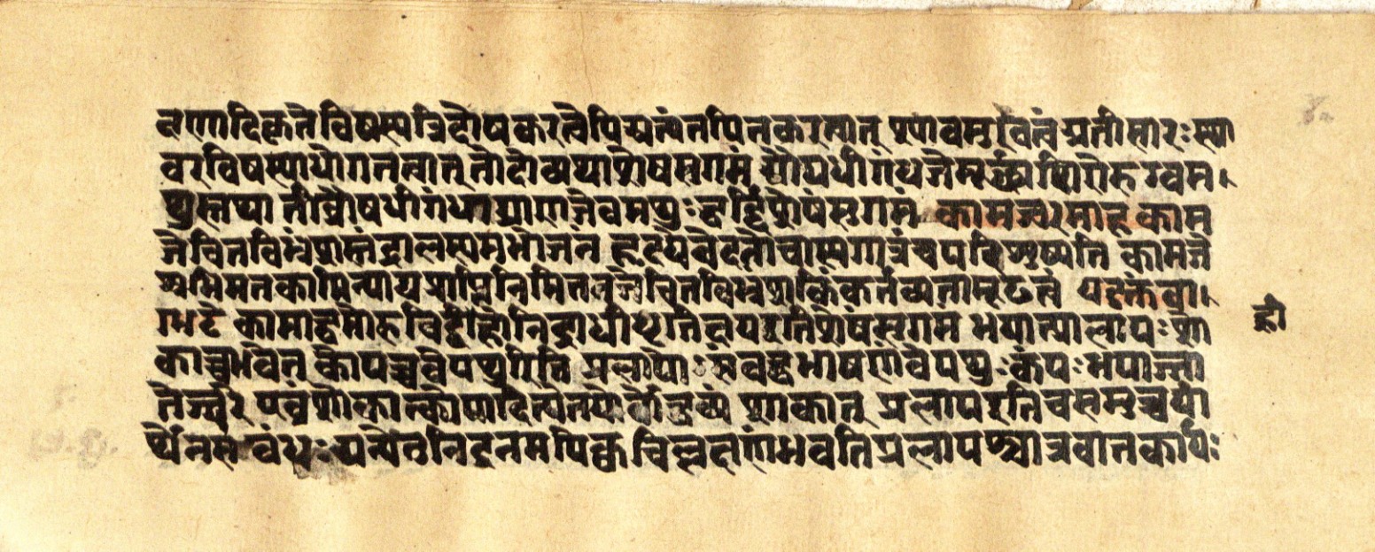 Mādhavanidāna 2, page 61