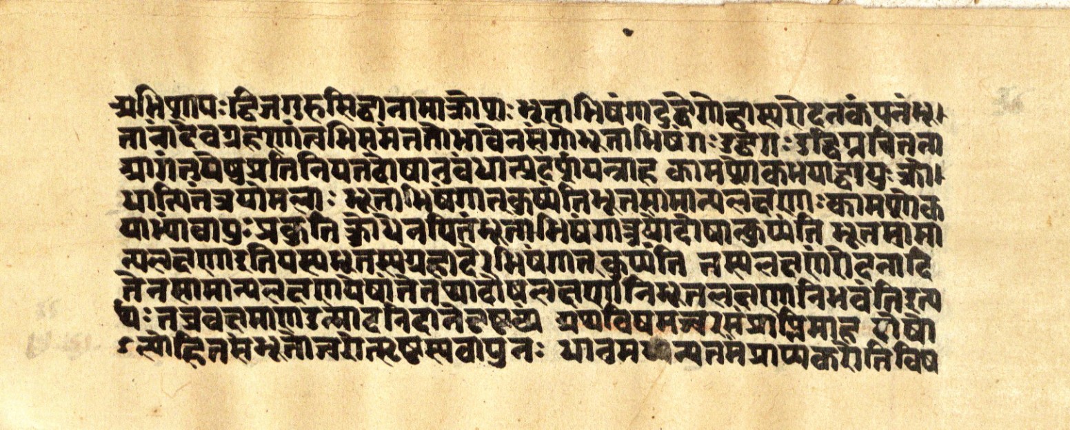 Mādhavanidāna 2, page 63