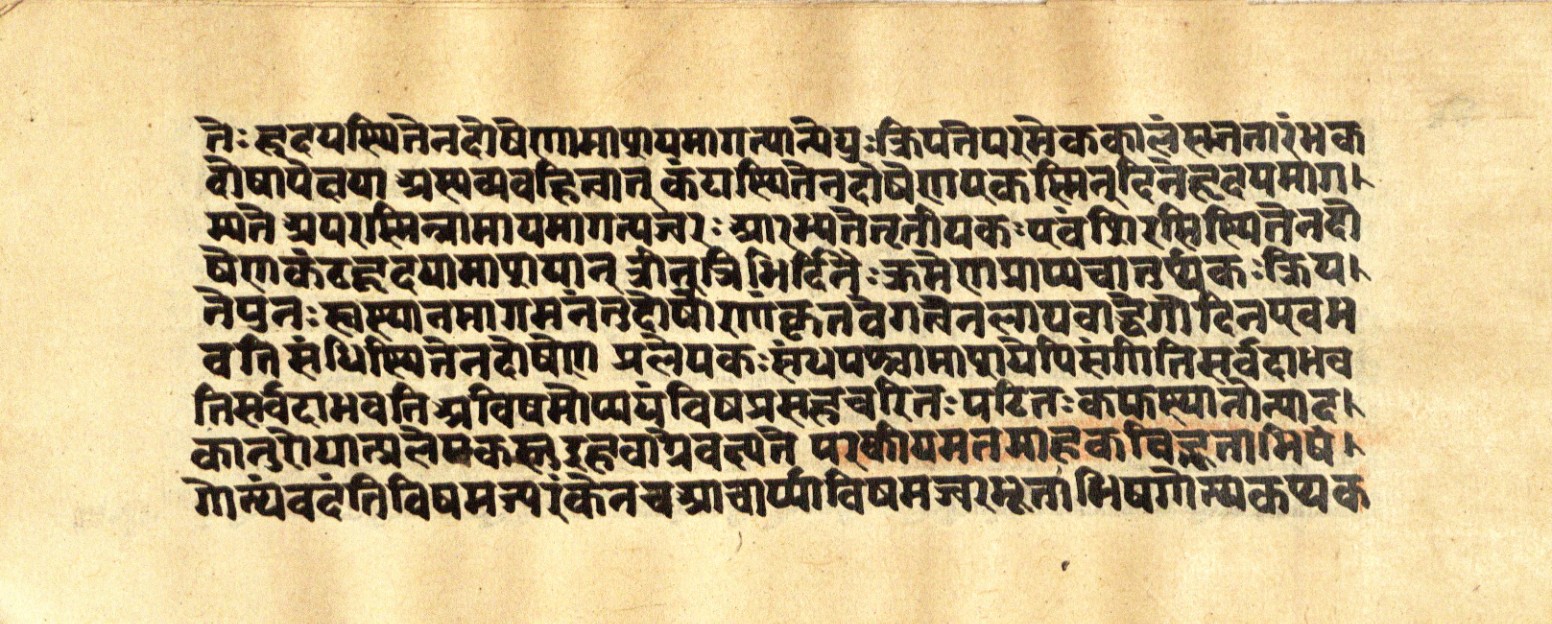 Mādhavanidāna 2, page 69